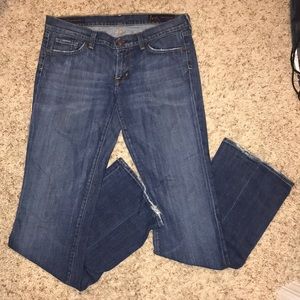 Citizens for Humanity Bootcut